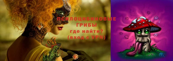 apvp Вязники