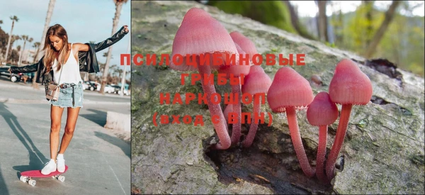 ПСИЛОЦИБИНОВЫЕ ГРИБЫ Вязьма