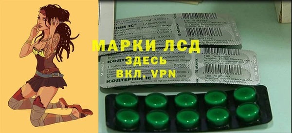 ПСИЛОЦИБИНОВЫЕ ГРИБЫ Вязьма